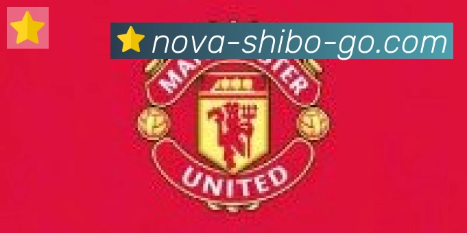 世博体育官网合作伙伴